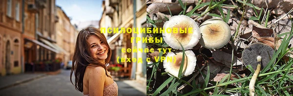 стафф Козельск