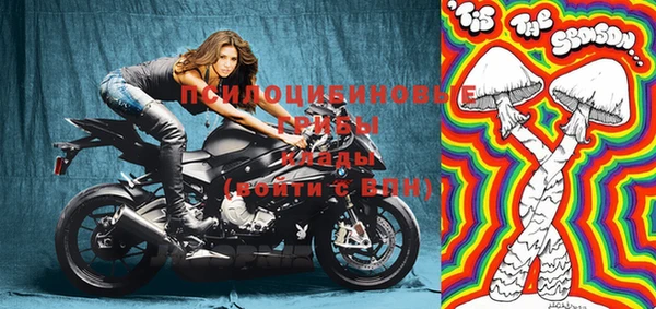 прущие крисы Корсаков