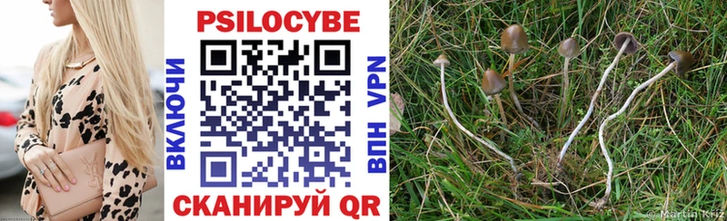 Псилоцибиновые грибы Magic Shrooms  Купить  Евпатория 