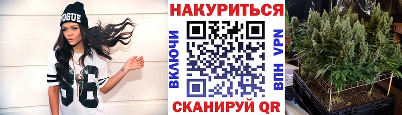 Купить  Евпатория  Шишки марихуана план 